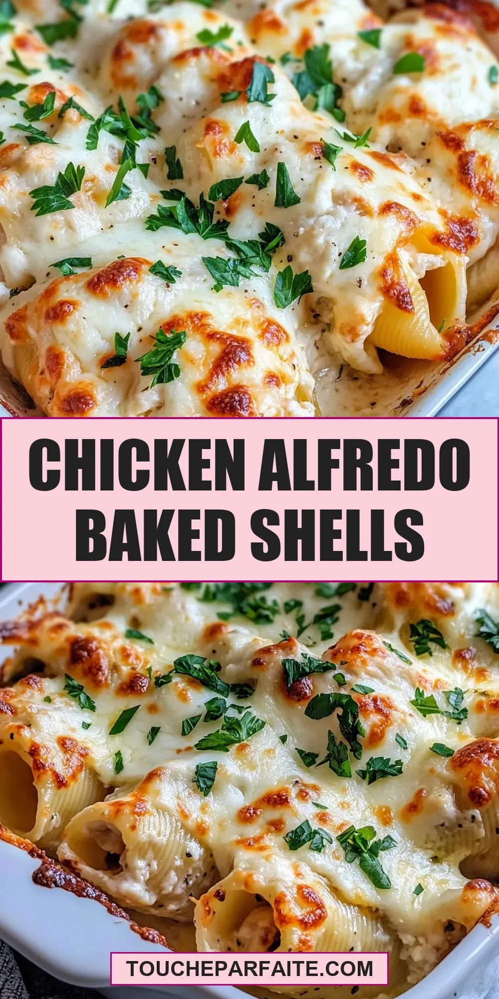 The Best Chicken Alfredo Baked Shells Ever