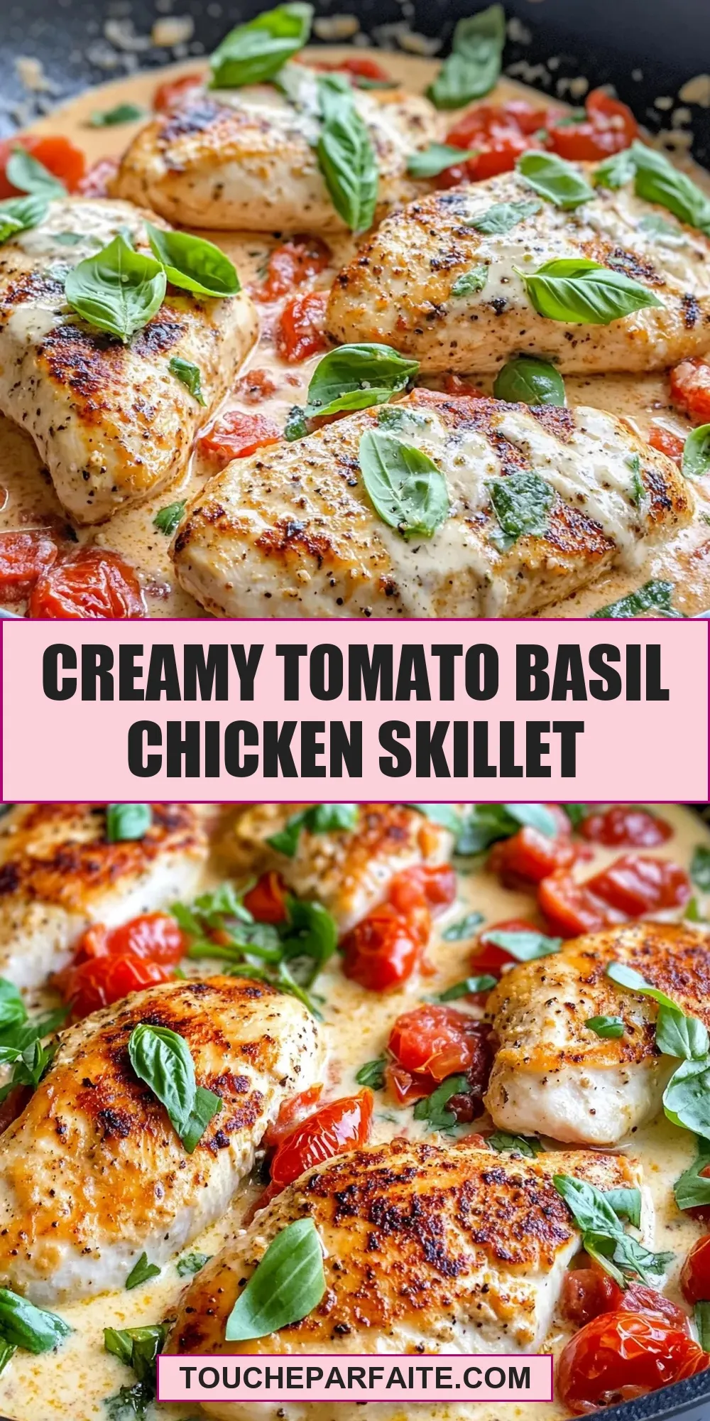 Creamy Tomato Basil Chicken Skillet Recipe