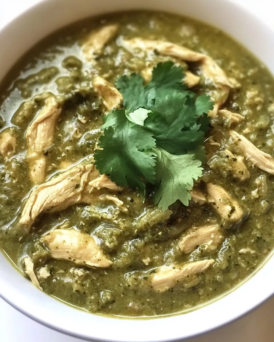 Homemade Slow Cooker Chicken Chile Verde recipe photo