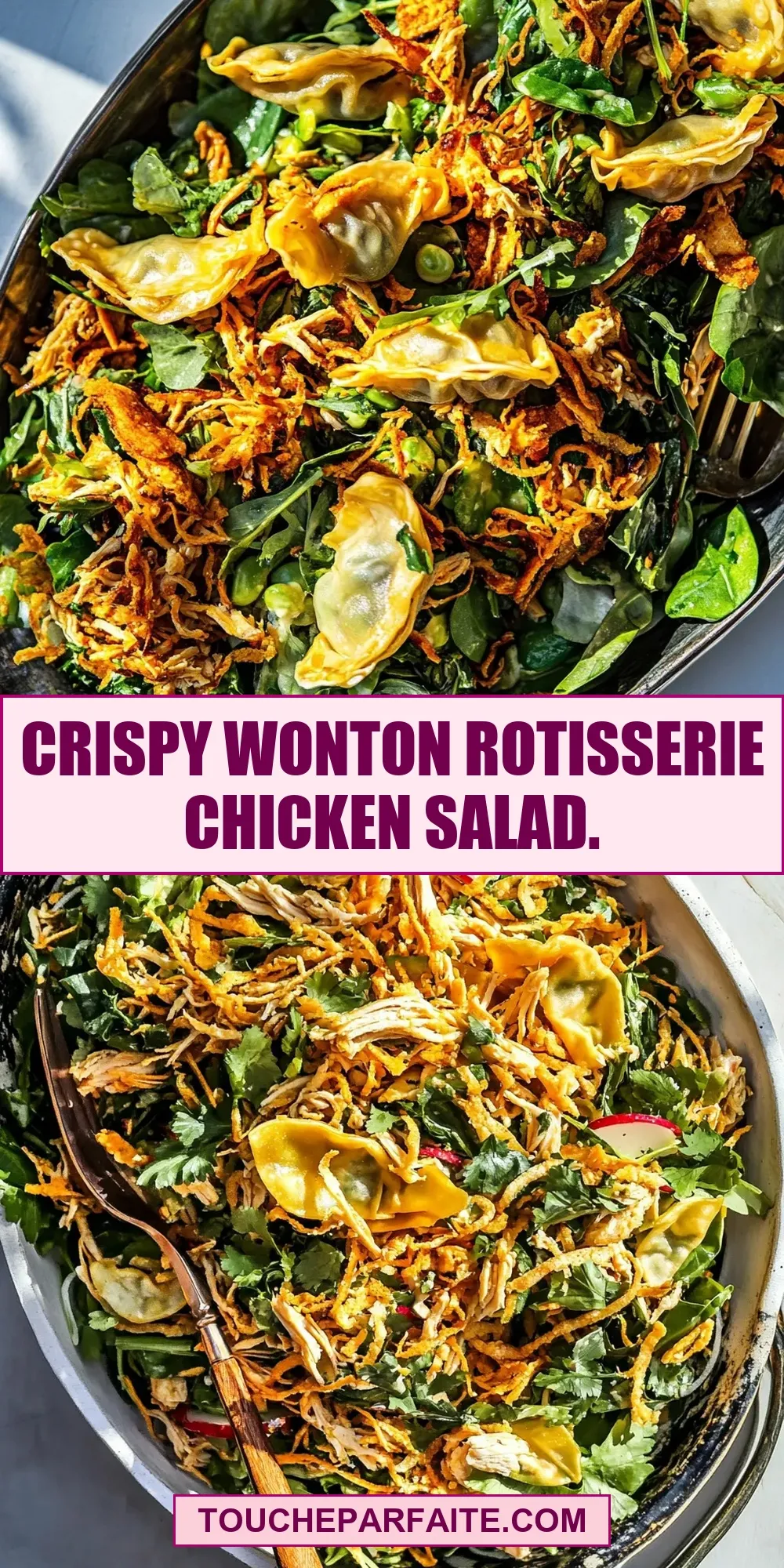 Fresh Crispy Wonton Rotisserie Chicken Salad.