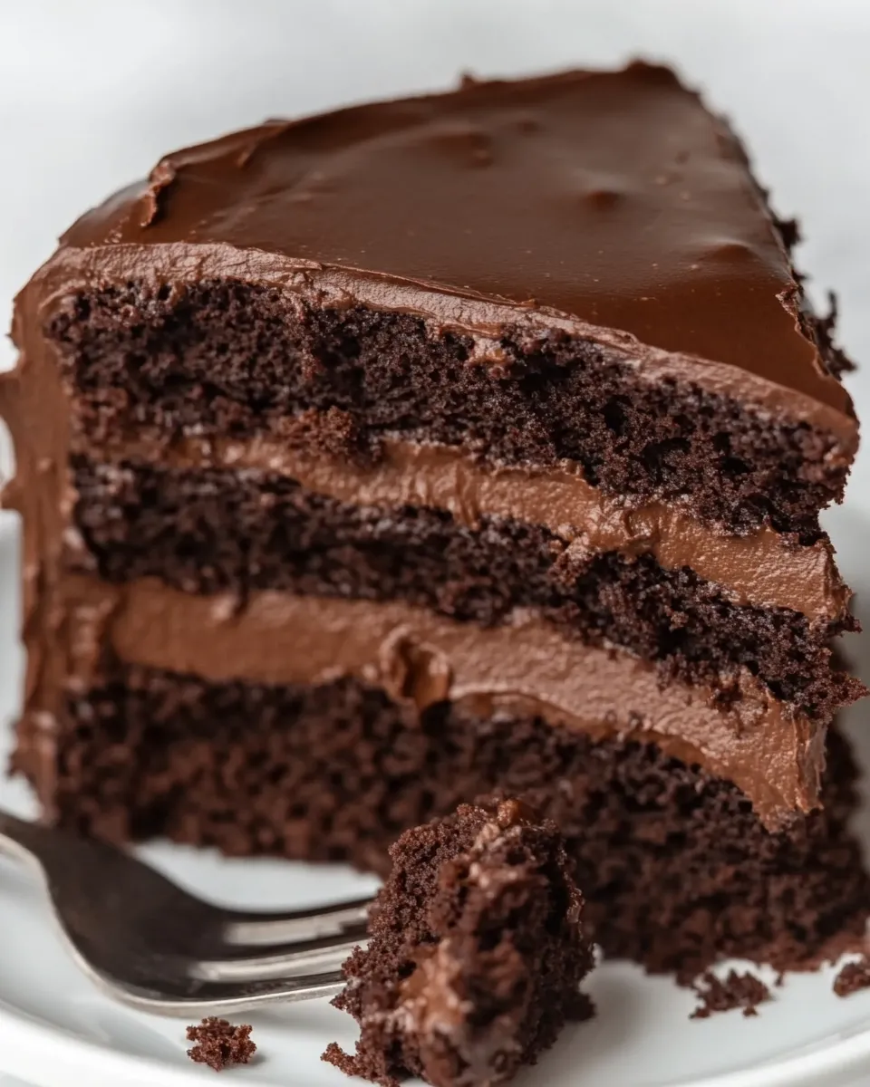 Homemade Coconut Flour Chocolate Cake photo