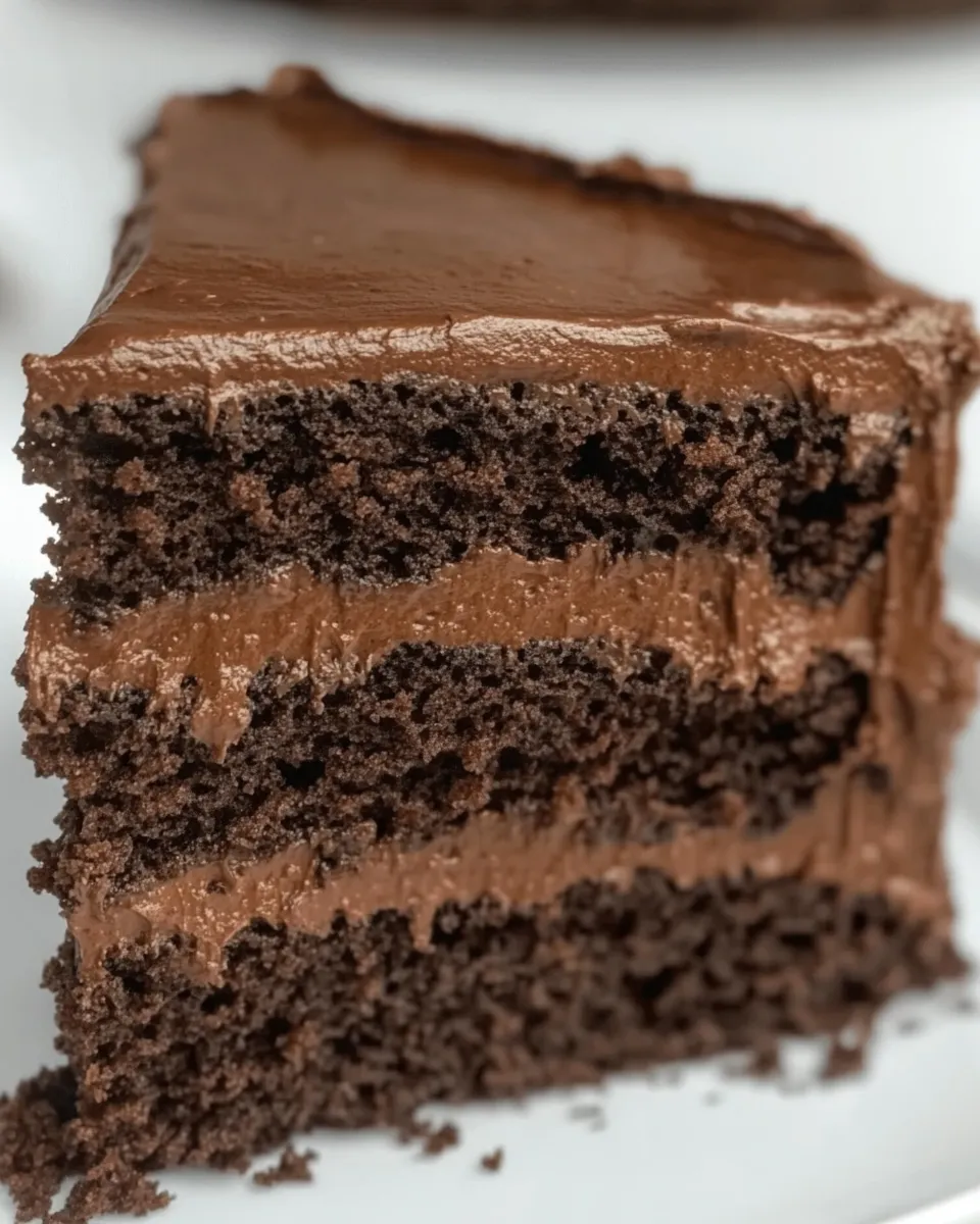 Classic Coconut Flour Chocolate Cake image