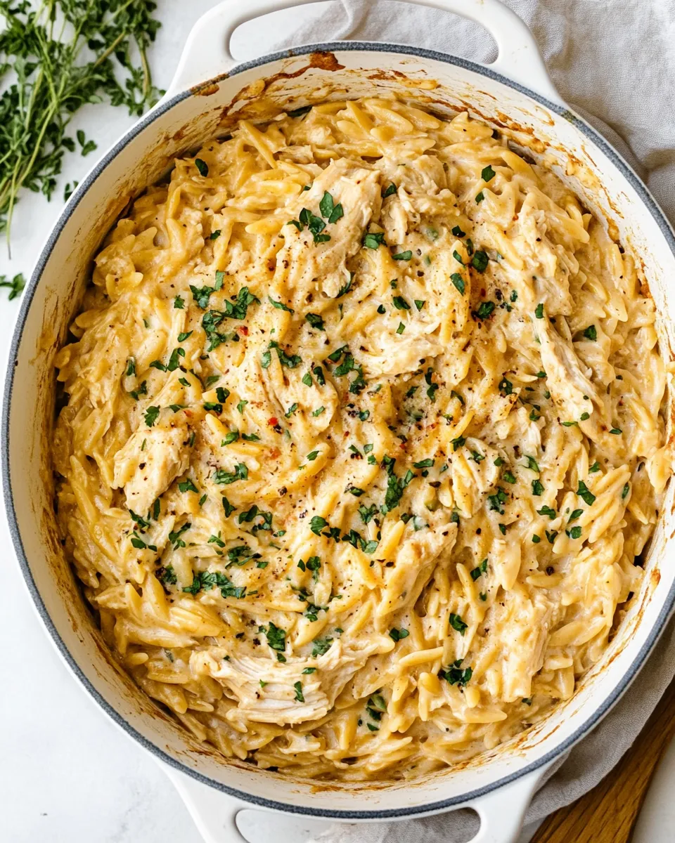 Homemade Creamy Chicken Orzo recipe photo