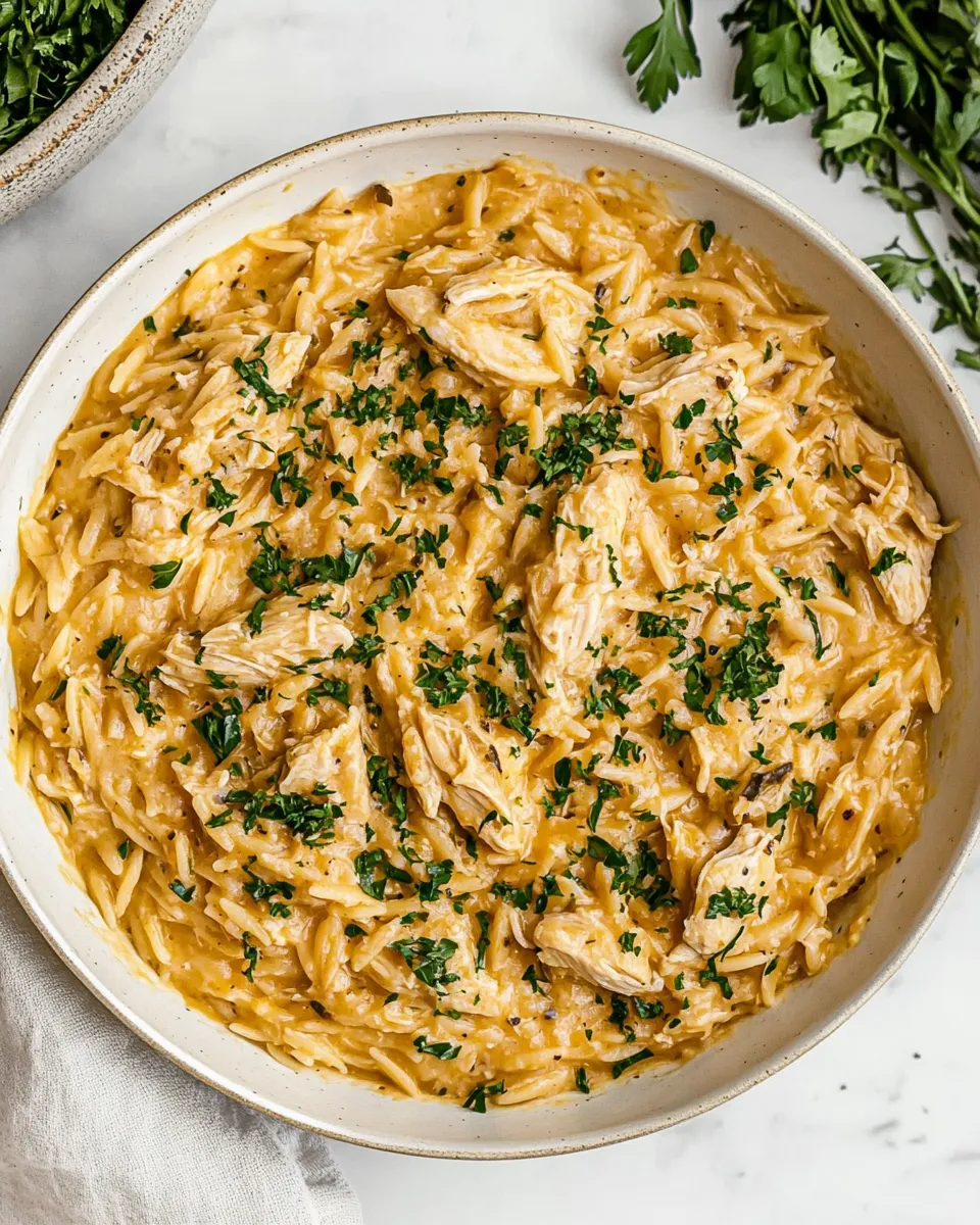 Classic Creamy Chicken Orzo dish photo