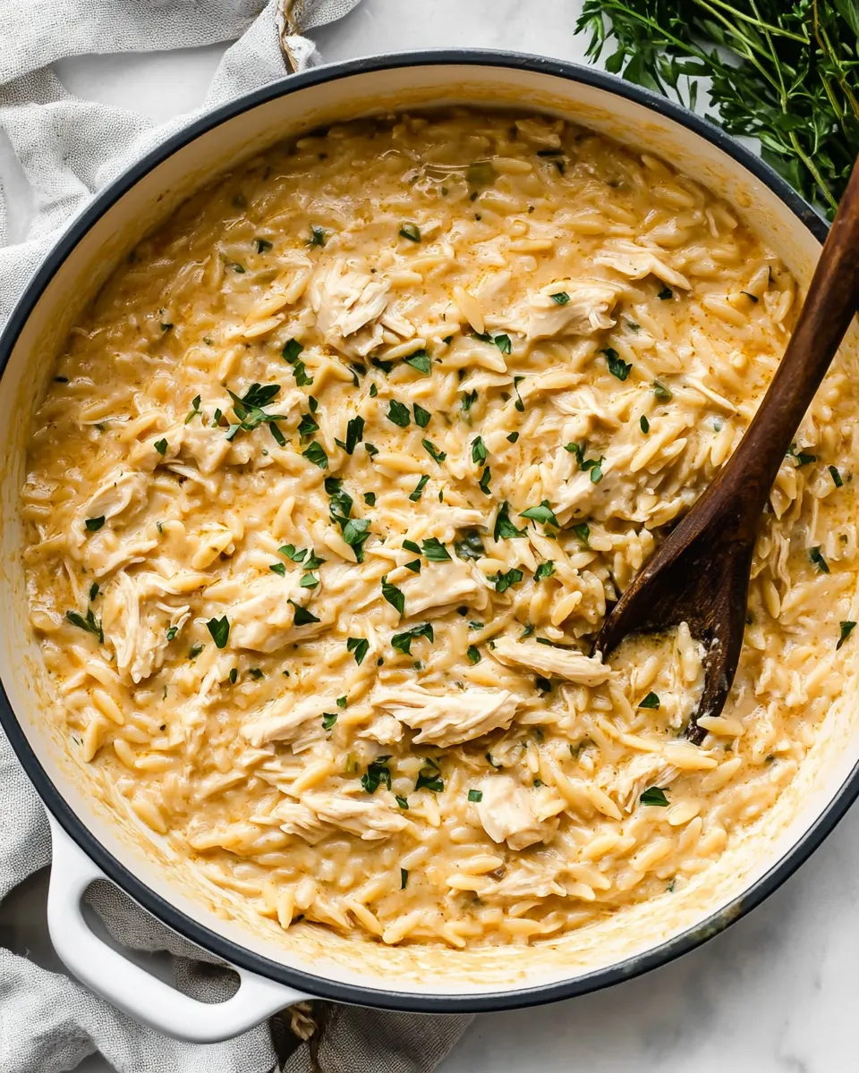 Delicious Creamy Chicken Orzo plate image