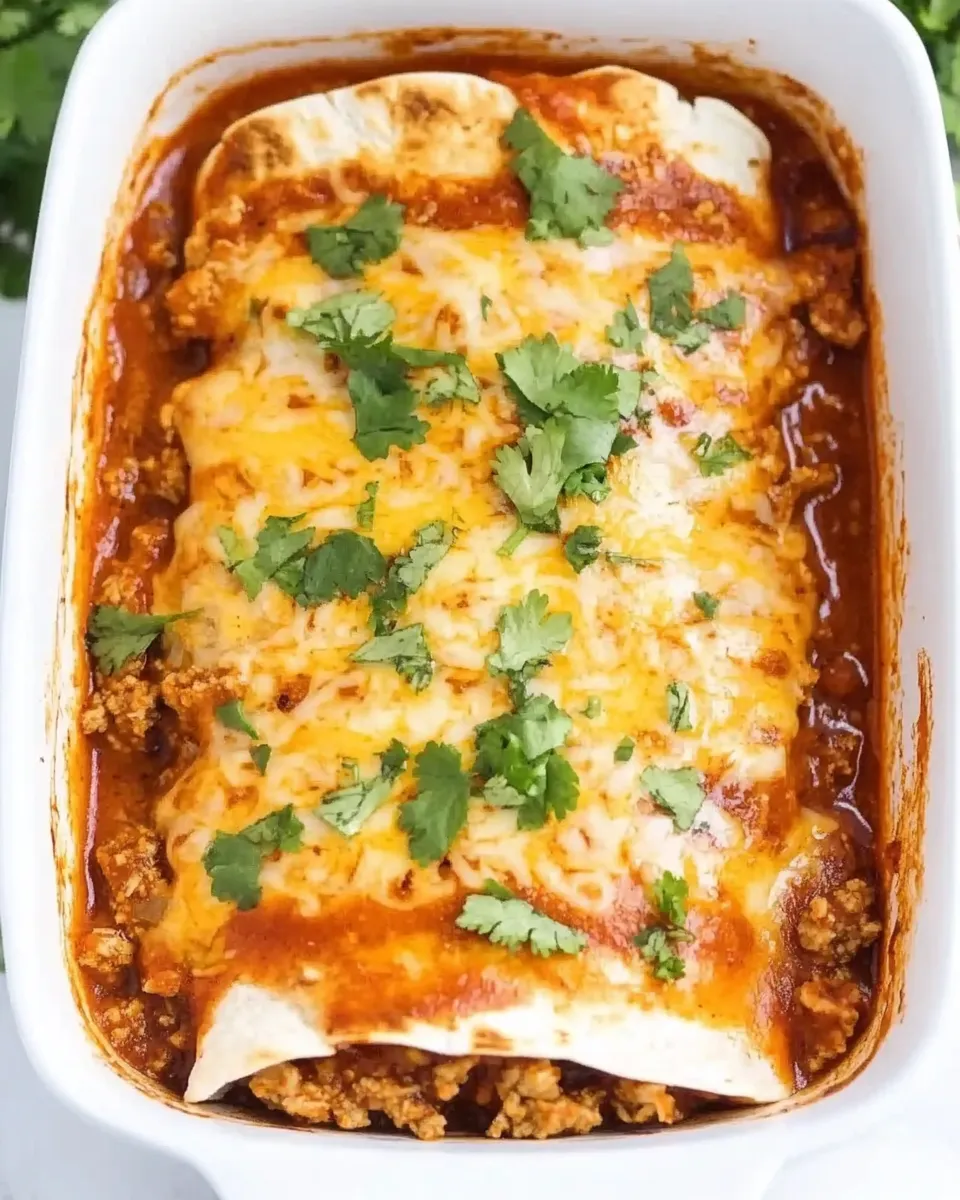 Quick Easy Ground Turkey Enchiladas plate image