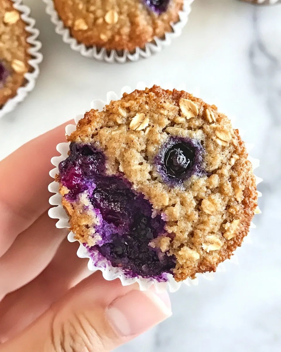 Homemade Gluten-Free, Dairy-Free, Blueberry Oatmeal Muffins photo